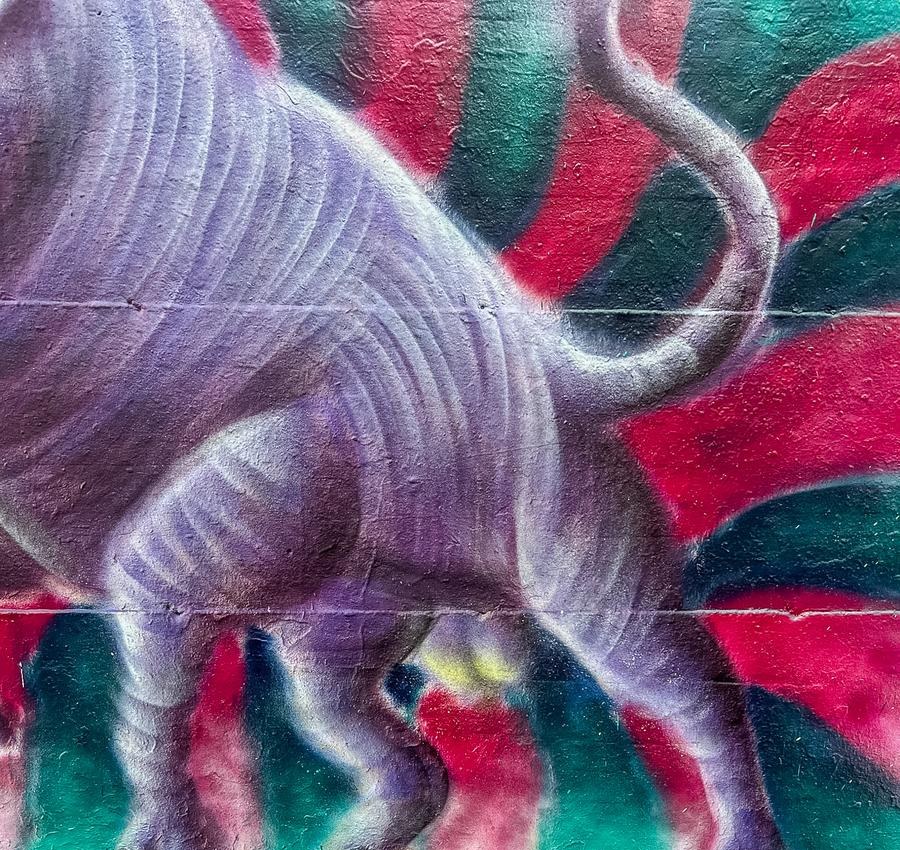 BULLL$HIT mural by Cundo Marchi in Turin, Italy, view 6