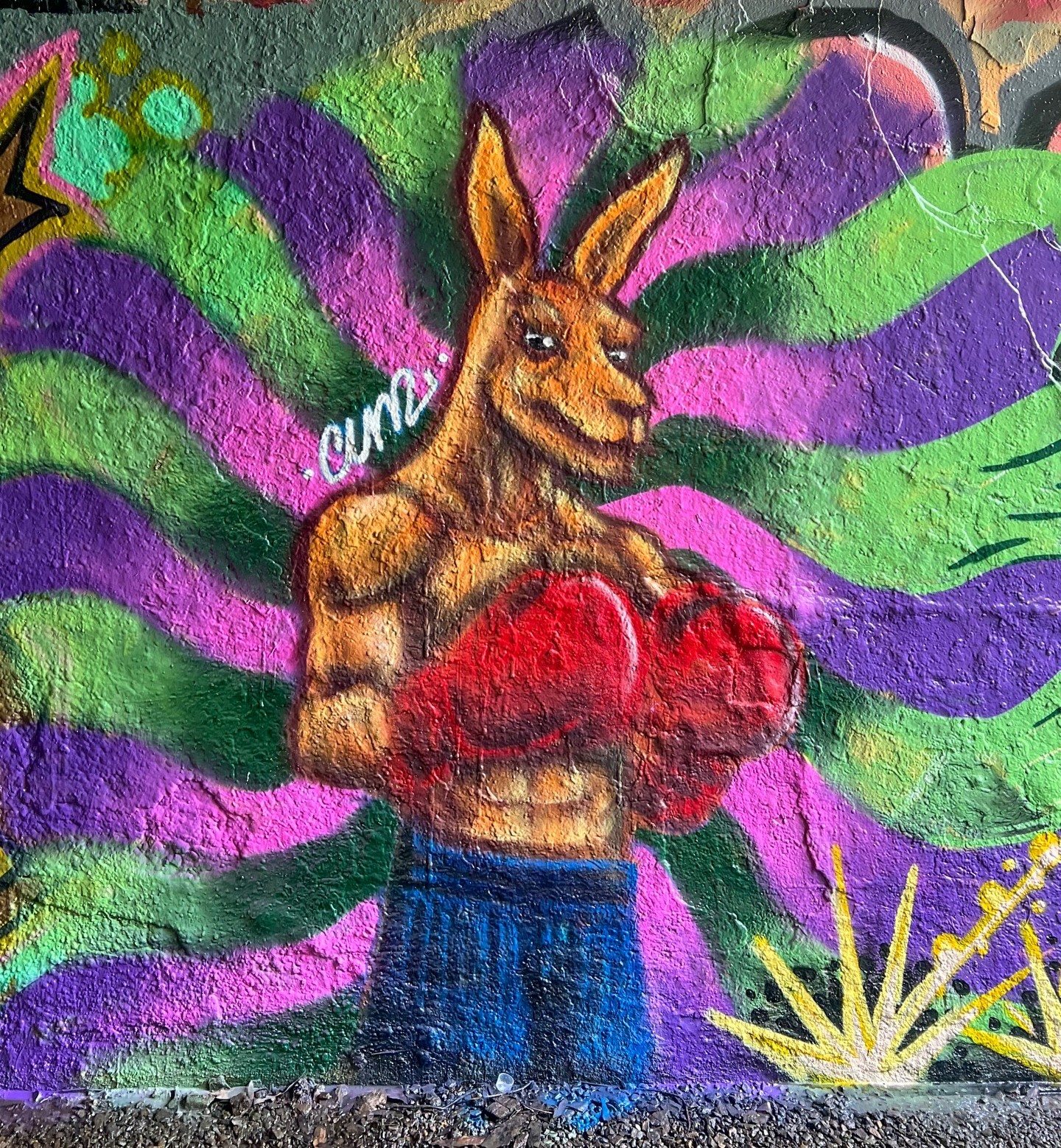 The Boxing Kangaroo, mural by Cundo Marchi, Gold Coast, Queensland, Australia, 2026