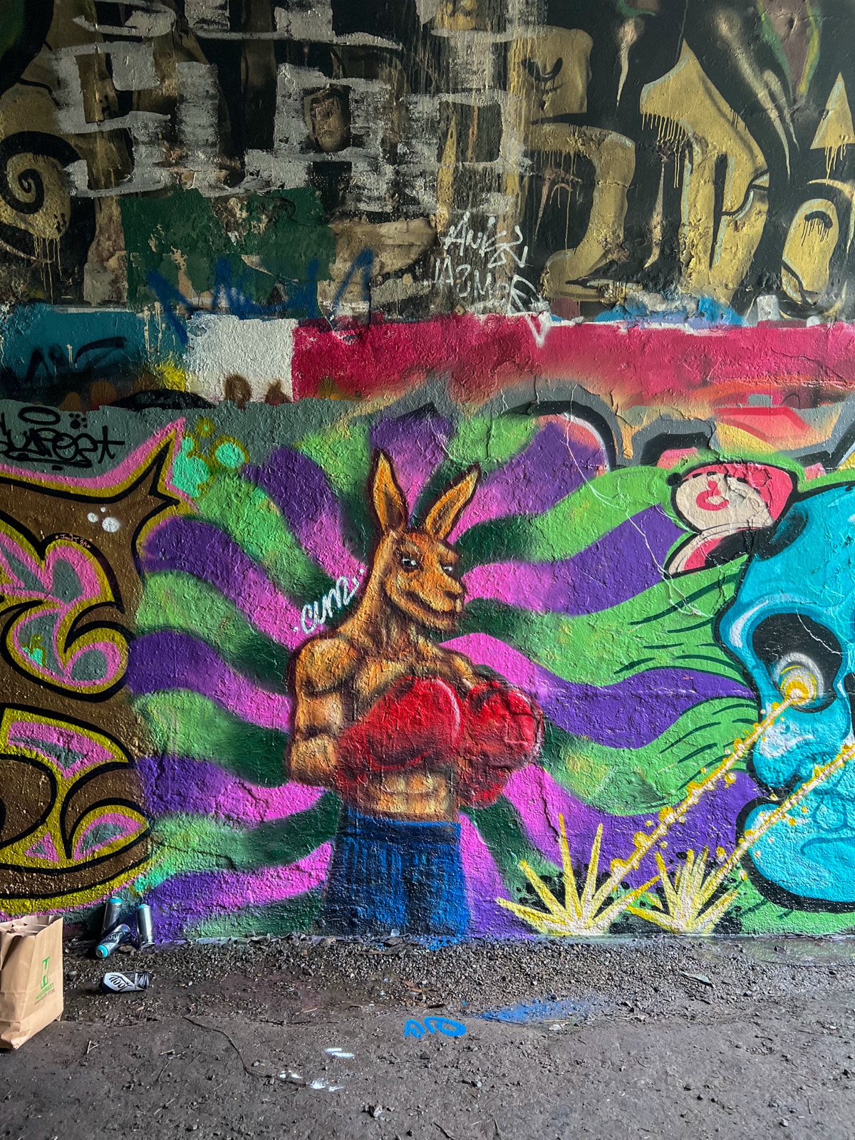 The Boxing Kangaroo mural by Cundo Marchi in Gold Coast, Queensland, Australia, view 2