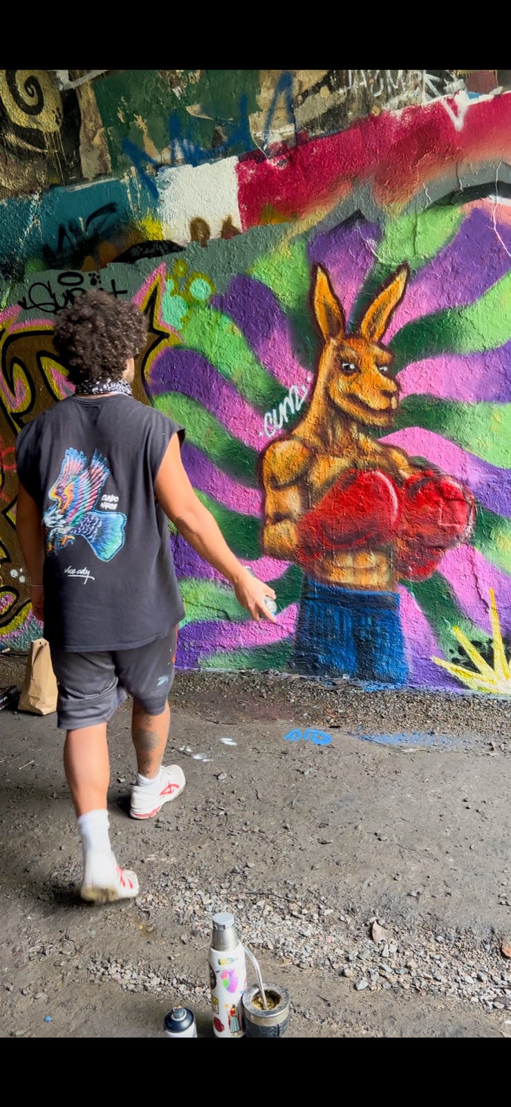 The Boxing Kangaroo mural by Cundo Marchi in Gold Coast, Queensland, Australia, view 3