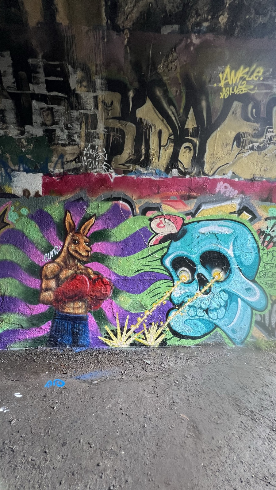 The Boxing Kangaroo mural by Cundo Marchi in Gold Coast, Queensland, Australia, view 4