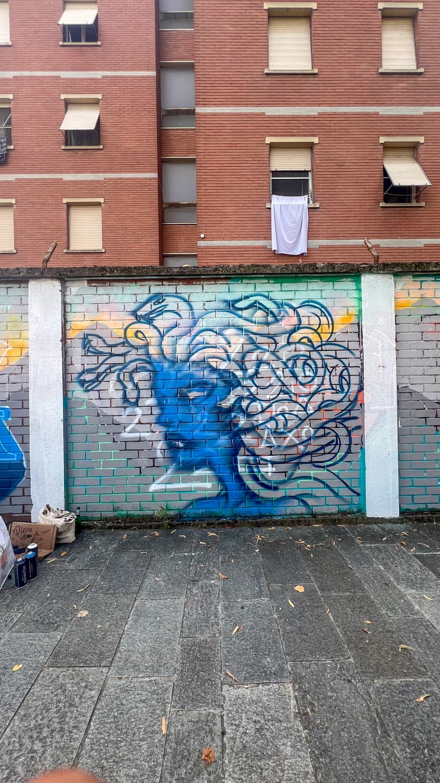 Full-height view of Medusa and the collaborative wall in Parma