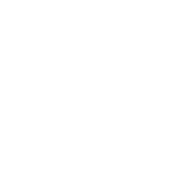 Fume Vapes
