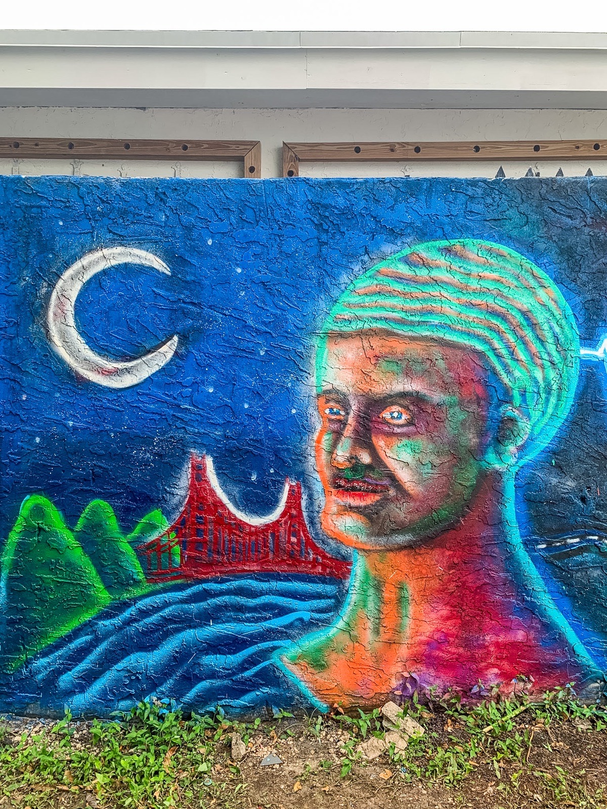 Left portrait facing toward the center of The Trippy Trip